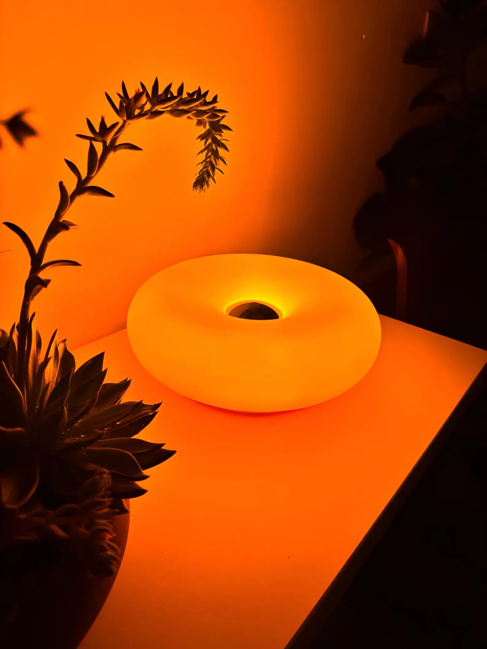 Glownut Lamp